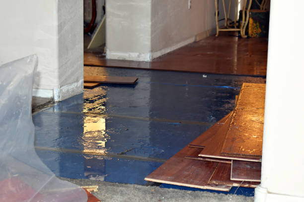 Professional Water Extraction technician working in Amherst, TX
